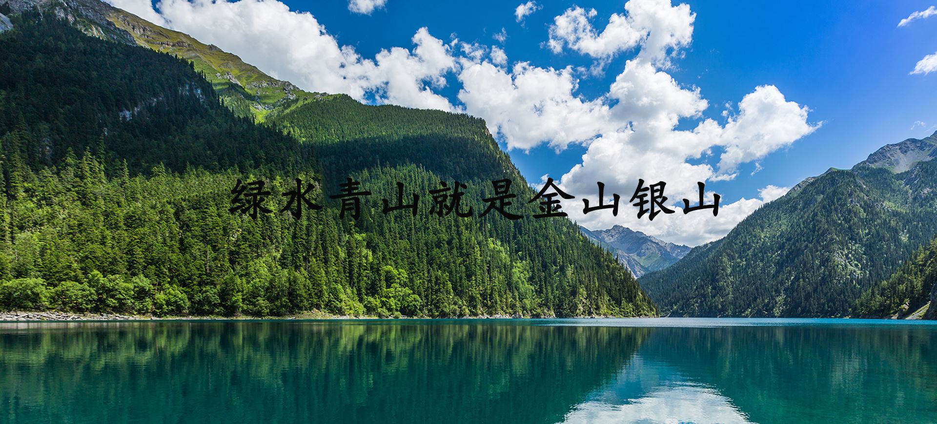 banner